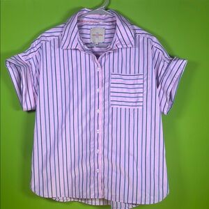 Elegant Pink and Blue Striped Midi blouse